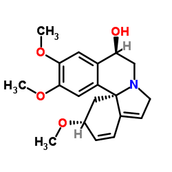 刺桐阿亭