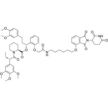 FKBP12 PROTAC dTAG-13