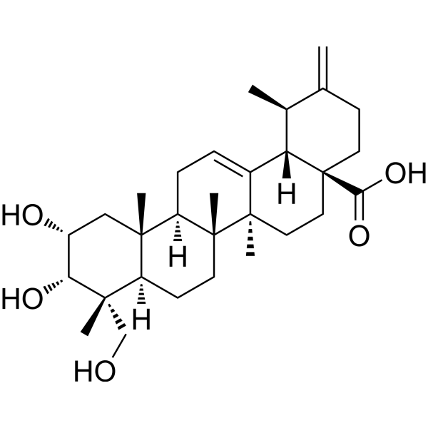 2a,3a,23-三羟基-12,20(30)-二烯-28-酸