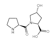 4-羟基-1-L-脯氨酰-L-脯氨酸