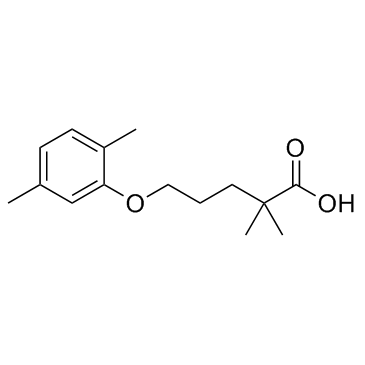 吉非罗齐