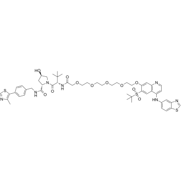 PROTAC RIPK degrader-2