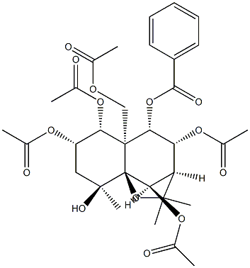 苦皮藤素