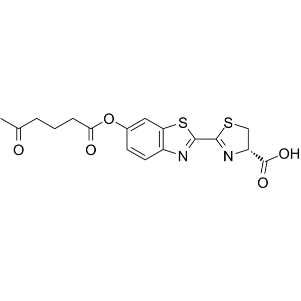 SBP-2