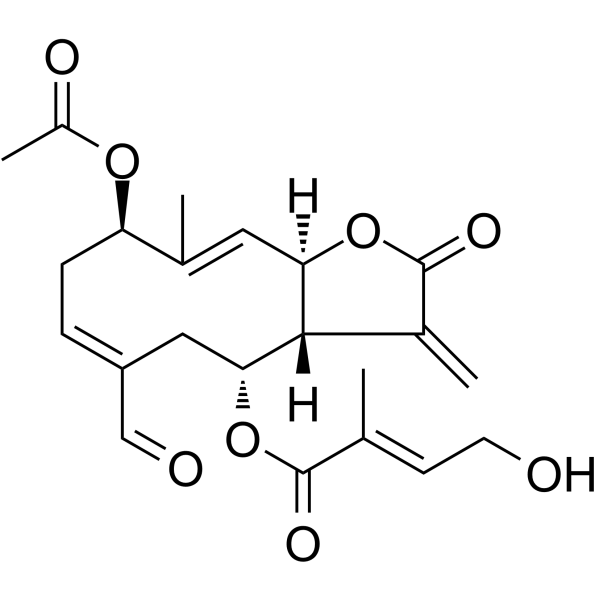 野马追内酯O