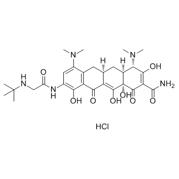 盐酸替加环素