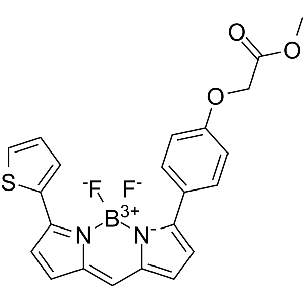 BODIPY TR methyl ester