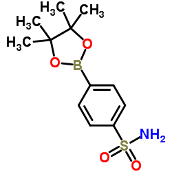 4-(4,4,5,5-四甲基-1,3,2-二氧硼杂环戊烷-2-基)苯磺酰胺