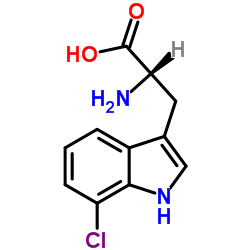 (S)-2-氨基-3-(7-氯-1H-吲哚-3-基)丙酸