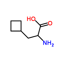 环丁基丙氨酸