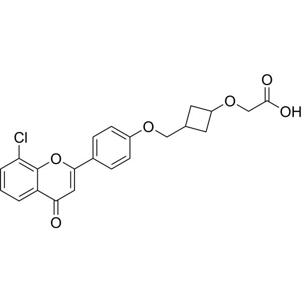 HBV-IN-29