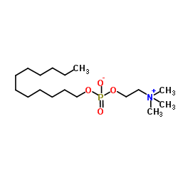 FOS-维生素B-12