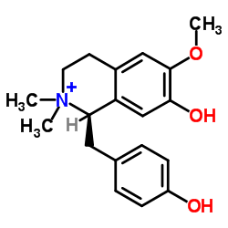 木兰箭毒碱