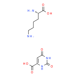 L-赖氨酸乳清酸盐