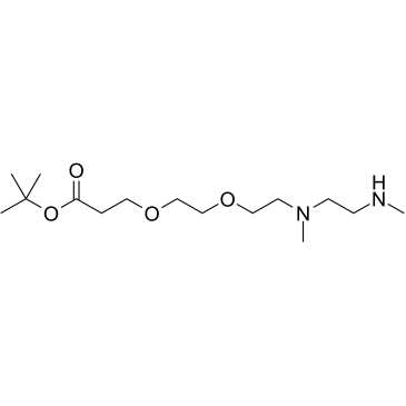 N,N'-DME-N-PEG2-Boc