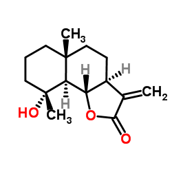 乙氧基胺盐酸盐