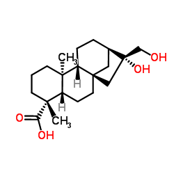 等效-16BETA,17-二羟基-19-异贝壳杉烷酸