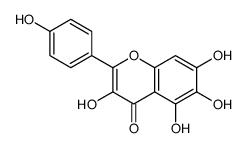 6-羟基山奈酚