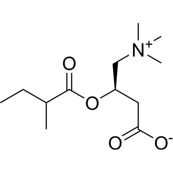 2-甲基丁基-L-肉碱