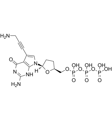 7-Deaza-7-propargylamino-ddGTP