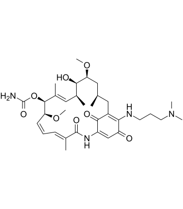 17-DMAP-GA