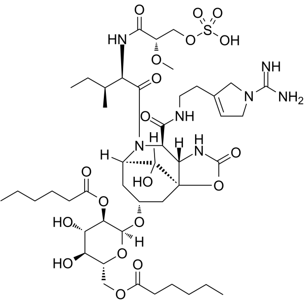 Suomilide