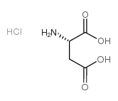 L-天冬氨酸盐酸盐