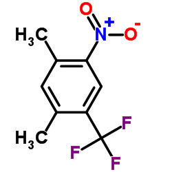 2,4-二甲基-5-硝基三氟甲苯