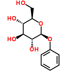 苯基-β-D-葡萄糖苷