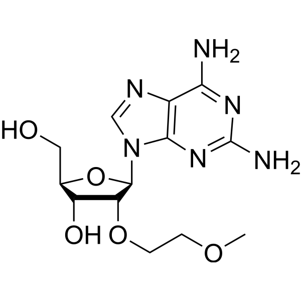 2-氨基-2-o-(2-甲氧基乙基)腺苷酸