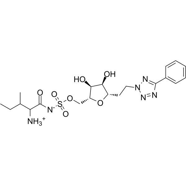 CB 168