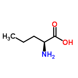 L-正缬氨酸