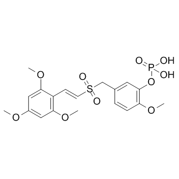 布瑞西利