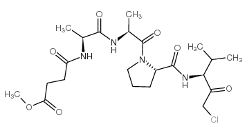 N-(甲氧基琥珀酰基)-丙氨酸-丙氨酸-脯氨酸-缬氨酸 氯甲基酮