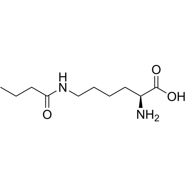 N6-丁酰基-L-赖氨酸