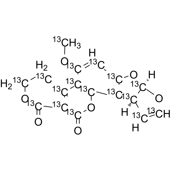 黄曲霉素 G1-13C17