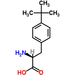 4-叔丁基苯丙氨酸