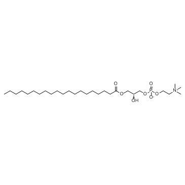 1-Arachidoyl-酰基-sn-甘油-磷酸胆碱3-