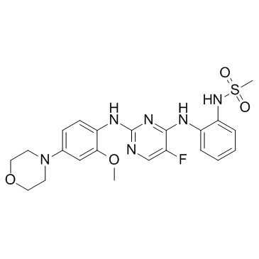 CZC-25146