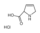 3,4-脱氢-L-脯氨酸盐酸盐