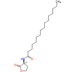 N-十六烷酰基-L-高丝氨酸内酯