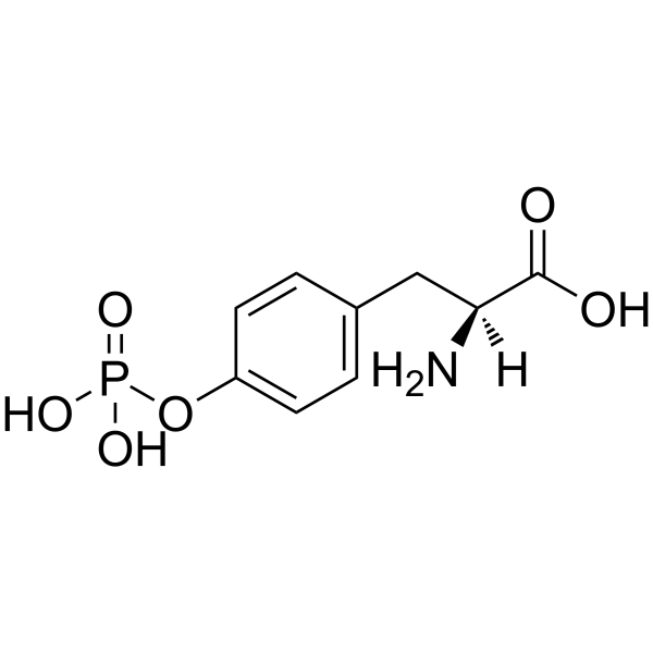 L-磷酸酪氨酸