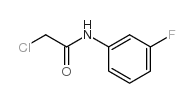 2-氯-N-(3-氟苯基)乙酰胺