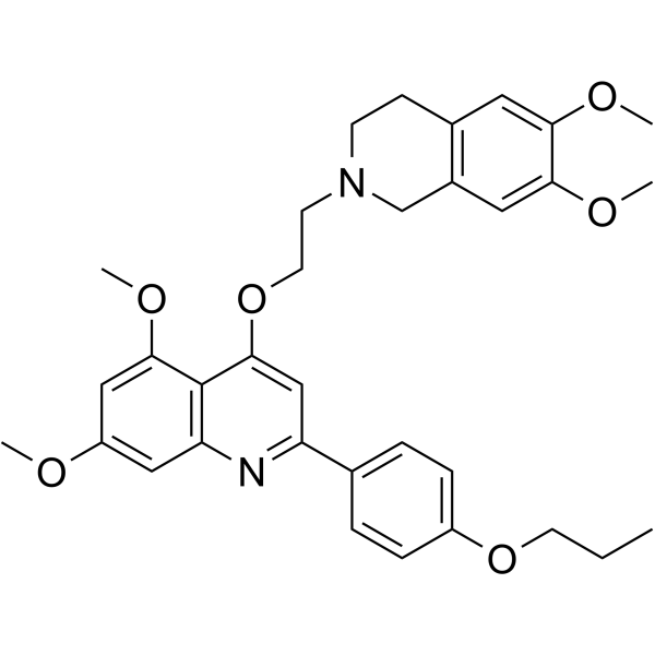 SARS-CoV-2-IN-19