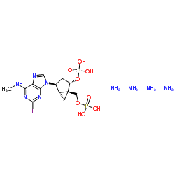 MRS2500 tetraammonium