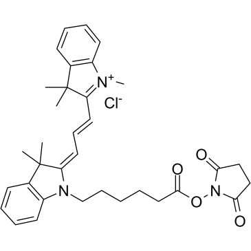 Cy3 N-羟基琥珀酰亚胺酯