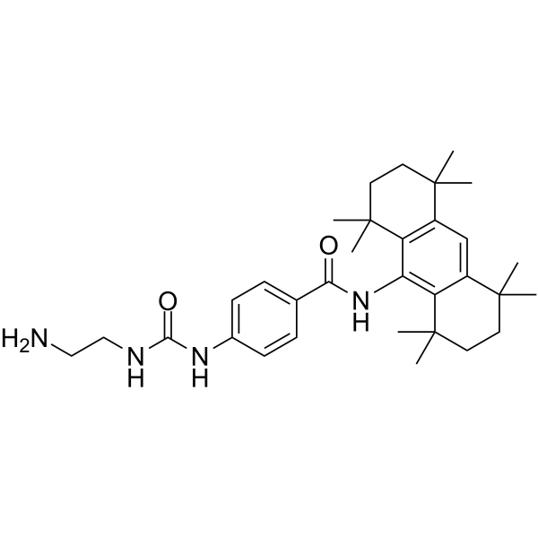 OAB-14