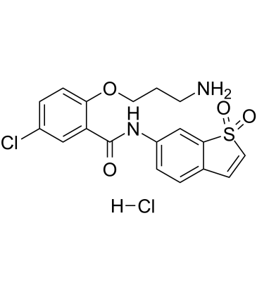 HJC0416 hydrochloride