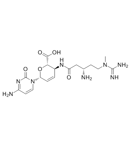 布拉叶斯