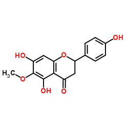 6-甲氧基柚皮素